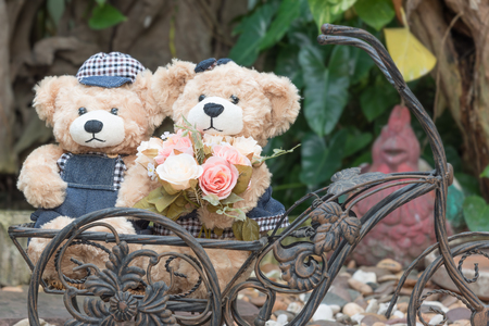two teddy bears with roses on garden background, concept loveの写真素材