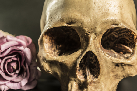 still life painting photography with close up human skull and roses over dark background, love concept, grunge, vintage and darkness for halloweenの写真素材