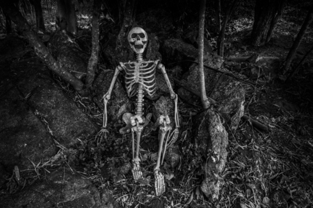 Still life photography with human skeleton in forest, black and white style with dark concept for...