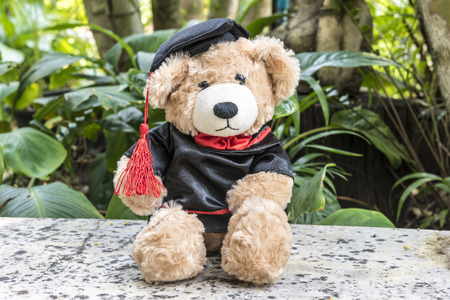 teddy bear with graduation gown on garden background, congratulations concept