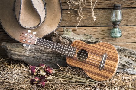 Still life photography with ukulele and dry roses with american west rodeo brown felt cowboy hat in vintage ranch barn backgroundの写真素材