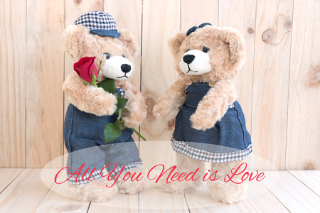 Quote all you need is love over Boy teddy bear holding red rose gift for lover on wood background, Love and friendship conceptの写真素材