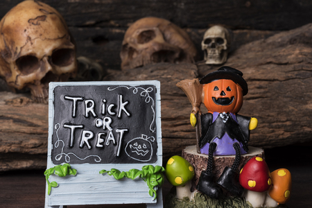 Pumpkin (Jack-o-lantern) in witch suit sitting on a tree with trick or treat board over four human skull backgroundの写真素材