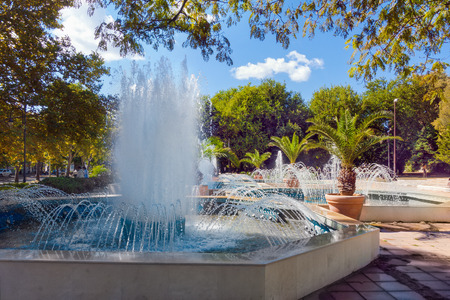 Beautiful summer fountains and palm trees in a small park in the center of Varna, Bulgaria.の写真素材