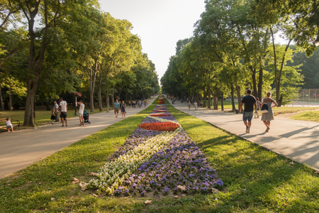 Beautiful summer view of the Sea Garden - a huge public park at the seaside part of Varna city, Bulgaria.のeditorial素材