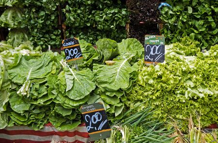 Cabbage, lettuce, parsley and chives on market place in Ipanema, Rio