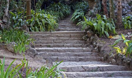 Stone stairway on tropical gardenの写真素材