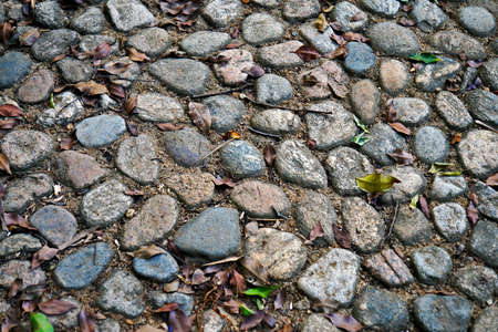 Stone floor at the garden