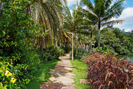 Path in the tropical garden, Minas Gerais, Brazilの写真素材