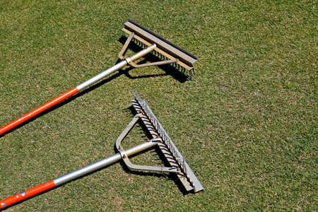 A pair of rakes on the grassの写真素材