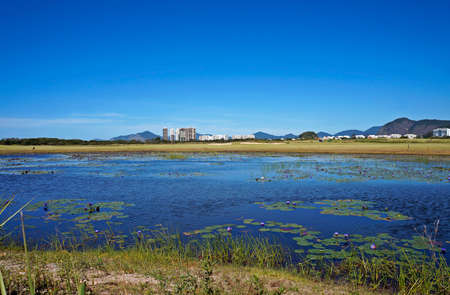 Lake in Golf Course, Rio de Janeiroの写真素材