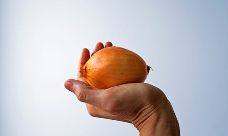 Onion on hand in a bright backgroundの写真素材