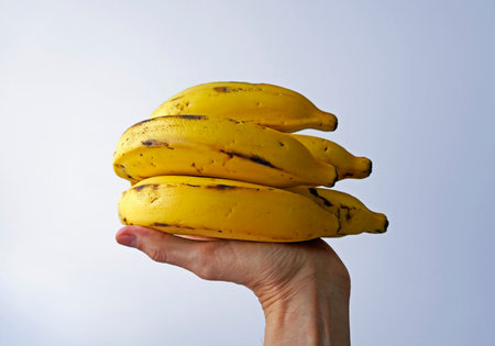 Bunch of bananas on hand in a bright backgroundの写真素材