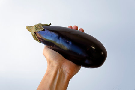 Eggplant on hand in a bright backgroundの写真素材