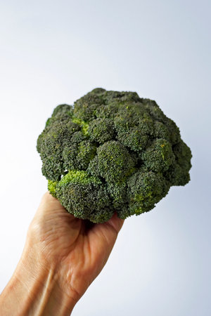 Broccoli on hand in a bright background