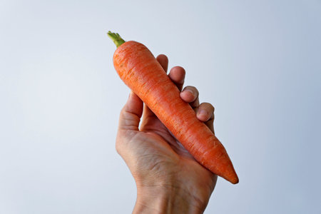 Carrot on hand on a bright background
