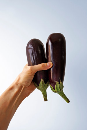 Eggplants on hand in a bright backgroundの写真素材