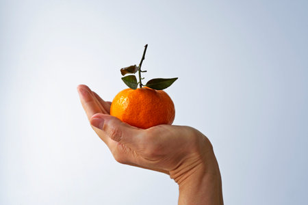 Tangerine on hand in a bright backgroundの写真素材