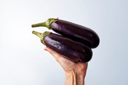 Eggplants on hand in a bright backgroundの写真素材