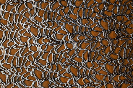 Patterned abstract and organic background