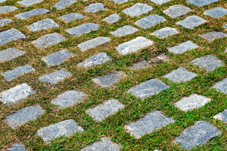 Cobblestone background with grass, Rioの写真素材
