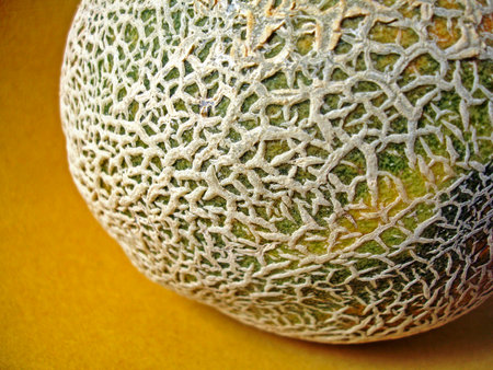 Cantaloupe melon on yellow background