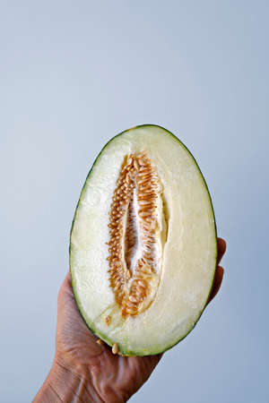 Half a green melon on hand in a bright backgroundの写真素材
