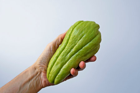 Chayote on hand in a bright backgroundの写真素材