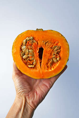 Half a pumpkin on hand in a bright backgroundの写真素材
