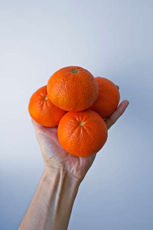 Tangerines on hand in a bright backgroundの写真素材