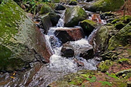 Small waterfall on tropical rainforest, Rio