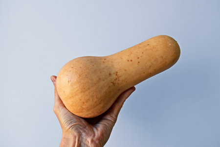 Pumpkin on hand in a bright backgroundの写真素材