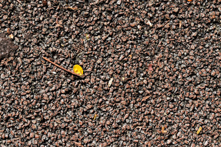 Stone floor on public parkの写真素材