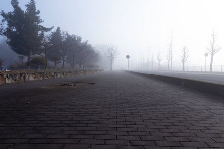 Fog in the morningの写真素材