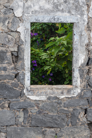 Looking at Morning Glories though window of Ruin, Italyの写真素材