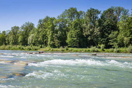 River Bank and âIsarâ River in Munich with Trees and Meadow, Bavaria, Germany, Europeの写真素材