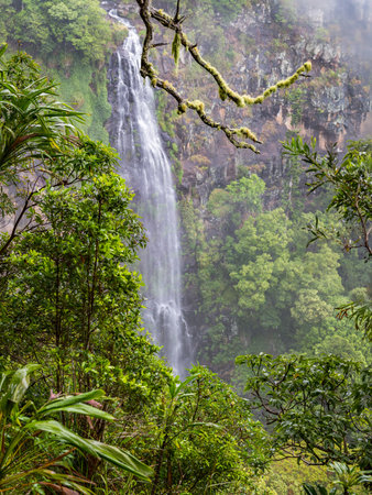 Moran's Waterfall in Lamington National Park, Queensland, Australia.