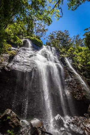 Blackfellow Falls in Rush Creek in Binna Burra Section of Lamington National Park, Queensland, Australia.の写真素材