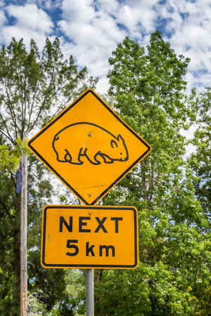 A bright yellow caution sign alerts drivers to watch for wombats over the next 5 kilometers while driving through a green landscape.の写真素材