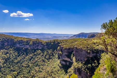 A beautiful scenic view of the Australian bush in the Blue Mountains with trees and blue sky in the background.の写真素材