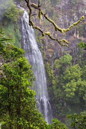 Moran's Waterfall in Lamington National Park, Queensland, Australia.