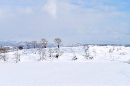 Winter landscapeの写真素材