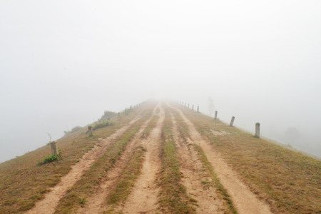 The foggy roadの写真素材