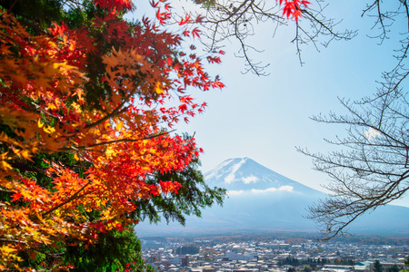 Beautiful sky and autumn in Fujisan with colorful maple leaves.の写真素材