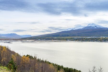 Beautiful rural view typical house and farm field at small village in Svalbardseyri near Akureyri, Icelandの写真素材