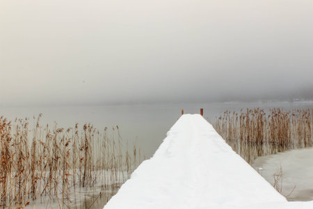 The seaの写真素材