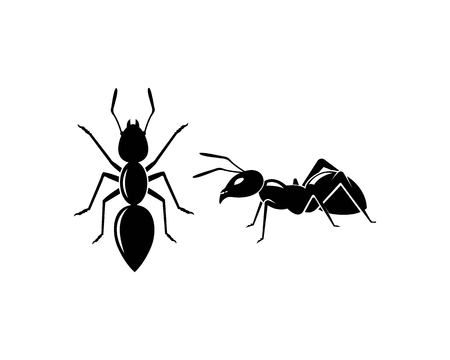 Ant Logo template vector illustration designのイラスト素材