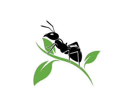 Ant Logo template vector illustration designのイラスト素材