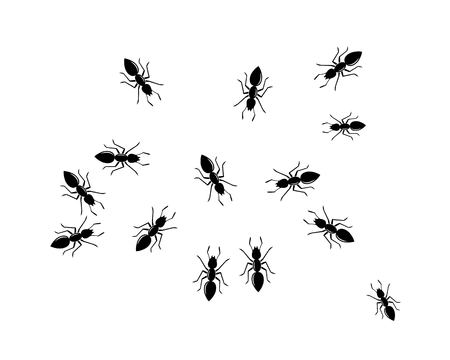 Ant Logo template vector illustration designのイラスト素材