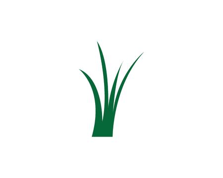 grass vector illustration template designのイラスト素材